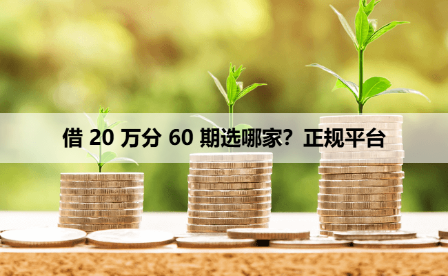 借 20 万分 60 期选哪家？正规平台