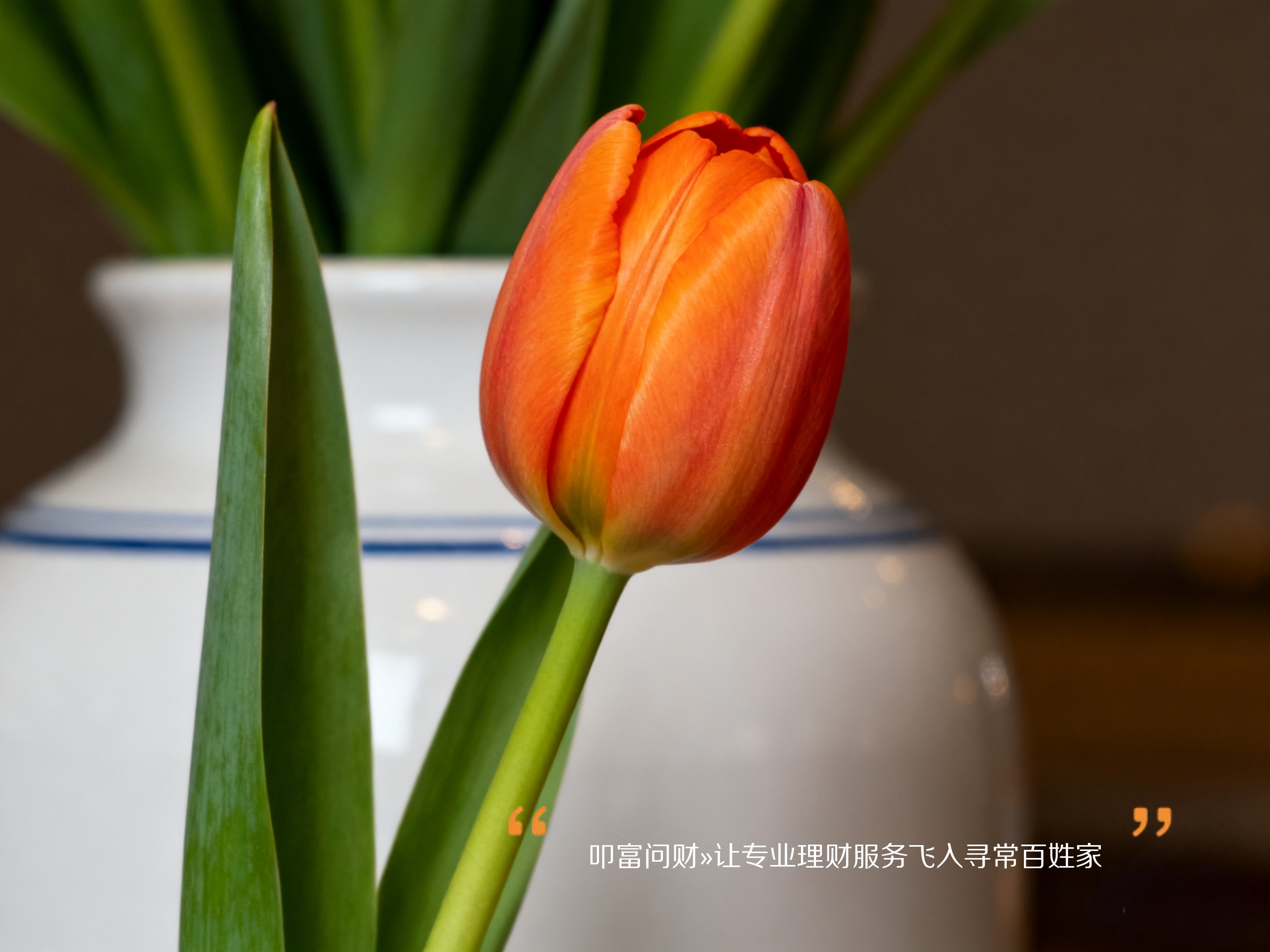 叩富问财：您身边的私人财富管家，普惠金融的践行者​