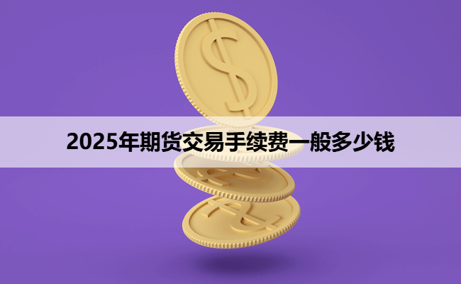 2025年期货交易手续费一般多少钱