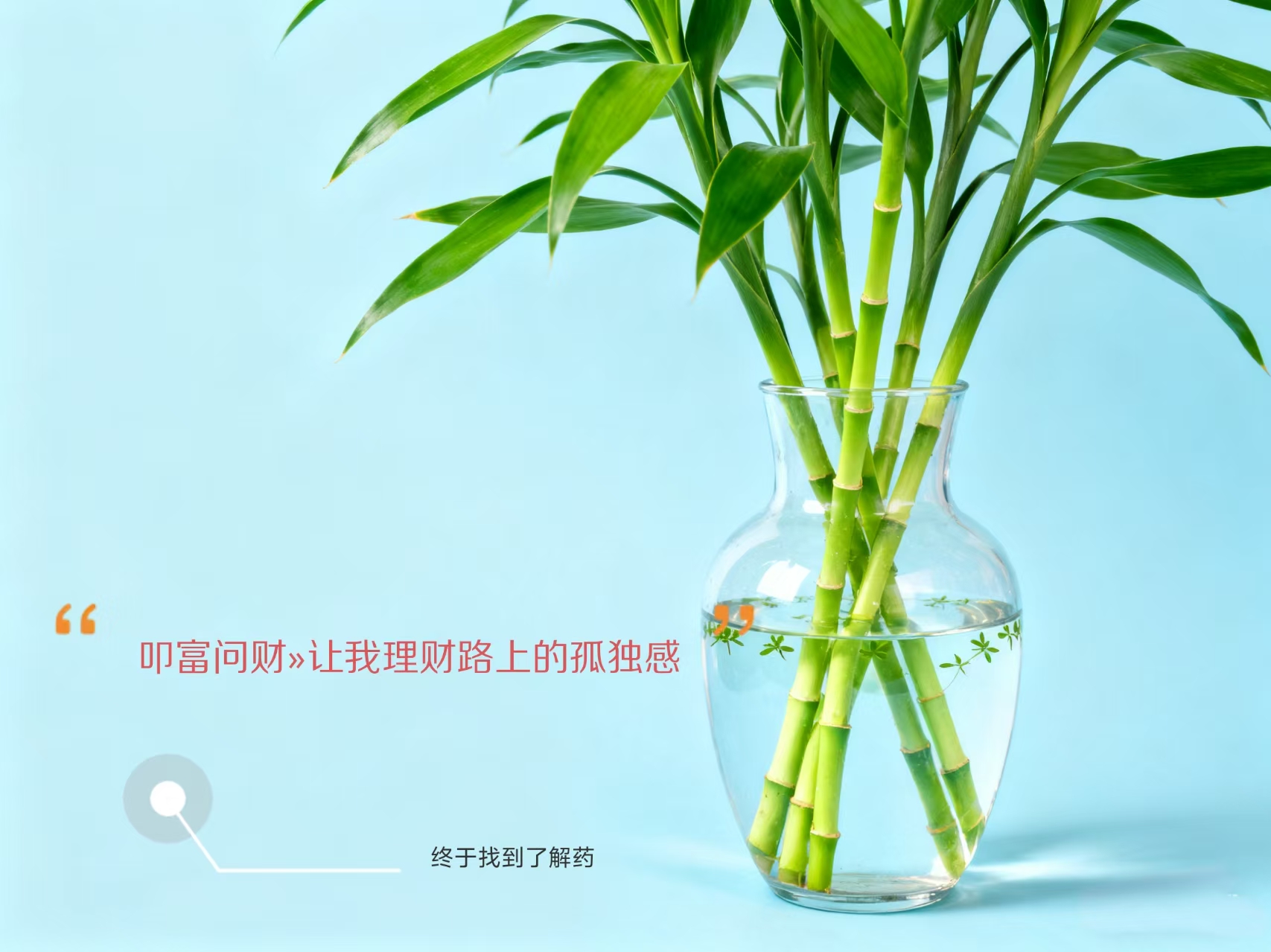 最好的免费理财咨询app：我的理财之路，因它而不再孤单