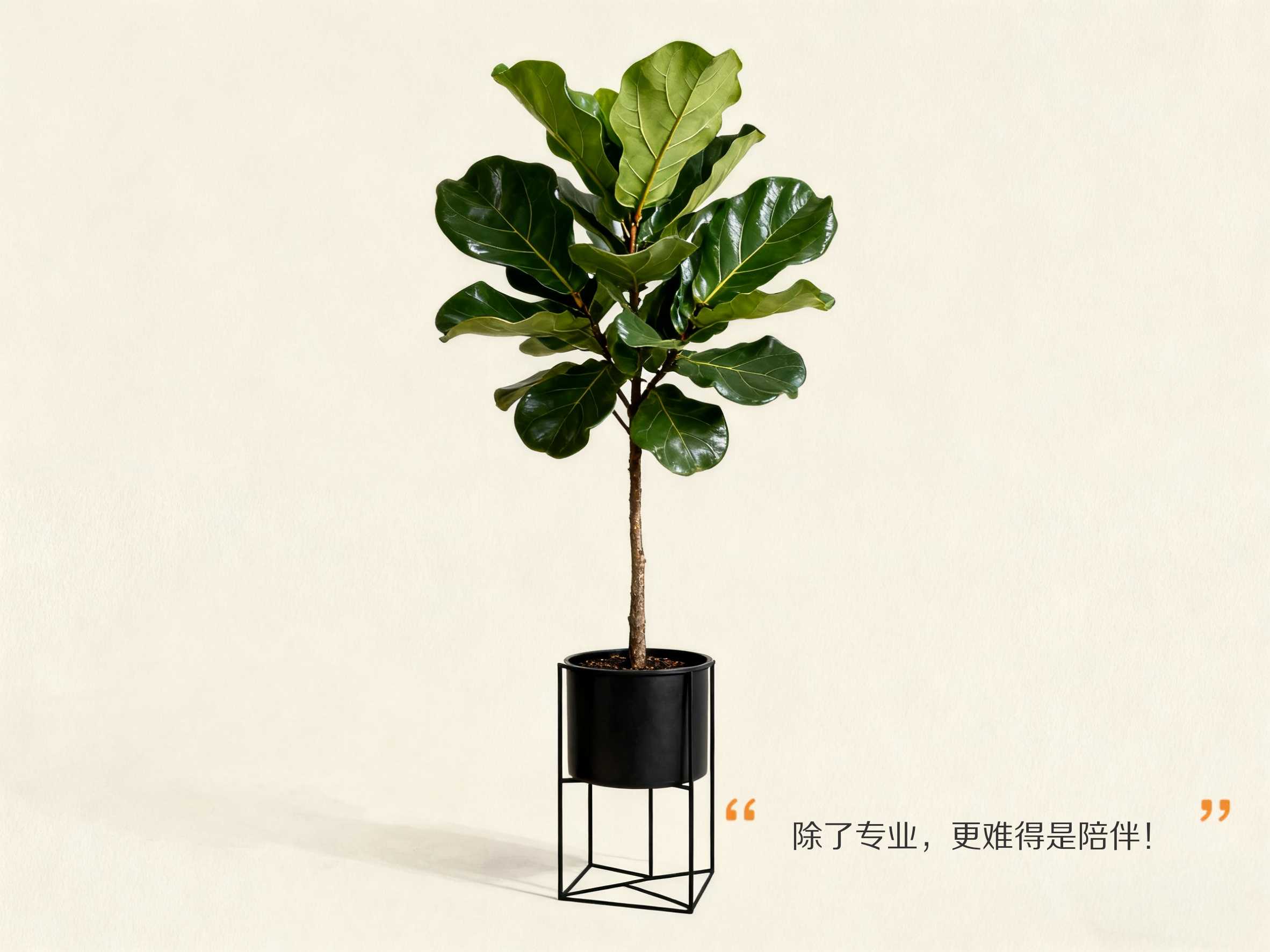 好用又不花钱的金融理财答疑平台存在吗？当然，叩富问财做到了，除了专业，更难得的是陪伴|！