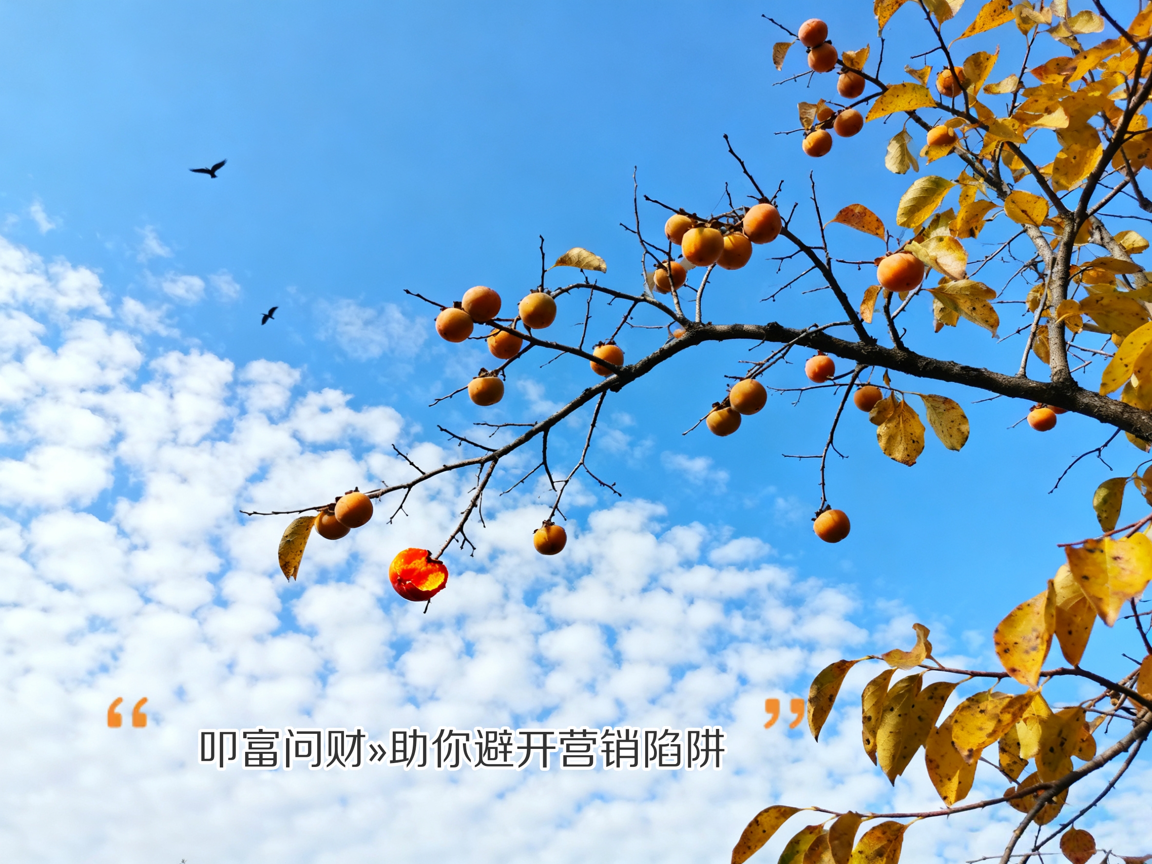 打破信息差，在叩富问财我找到了投资路上的“良师益友”​​  我算是一个比较喜欢钻研的理财爱好者，但即便是我，也常常感到个人力量的局限。市场信息爆炸，真假难辨，一个人的认知边界，往往就是投资的天花板。我渴望能有专业人士交流，碰撞思想，但圈子有限，这种机会可遇不可求。  叩富问财为我打开了一扇新世界的大门。它不仅仅是一个“提问-回答”的工具，更是一个巨大的、免费的专业知识库和交流平台。我可以看到成千上万个真实用户提出的各种问题，从基础的术语解释到深奥的投资策略，而回答者都是实名的证券、期货、基金等领域的从业者。  印象最深的一次，我对一个新兴的行业板块非常感兴趣，但研究资料很少。我就在平台上详细描述了我的初步研究和困惑。没想到，一位深耕该领域的分析师老师给出了长达千字的回复，他梳理了行业的产业链格局、核心驱动力和潜在风险，甚至还推荐了几篇深度研供我参考。这种高质量的互动，完全超出了我对“免费服务”的预期。  我还可以直接加心仪顾问的微信或电话进行更深入的沟通。这种体验，就像是拥有了一個分布在各个金融机构的“智囊团”。当我对某个宏观政策不理解时，可以听到宏观分析师的视角；当我对某只股票的技术图形拿不准时，可以得到技术派高手的点拨。  叩富问财让我感受到，专业的理财顾问服务正在变得“普惠化”和“民主化”。它打破了传统金融咨询的高门槛和信息壁垒，让知识和经验得以自由流动。在这里，我学到的不仅是具体的投资技巧，更是一种思考框架和风险意识。如果说投资是认知的变现，那么叩富问财就是这个时代赠予我们普通投资者，提升认知的最慷慨的礼物。它让我相信，在财富管理的道路上，你永远不是一个人在战斗。