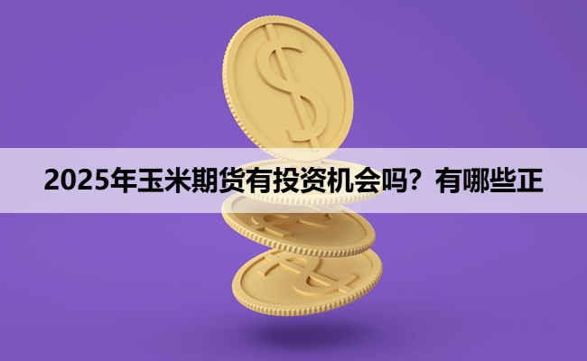 2025年玉米期货有投资机会吗？有哪些正