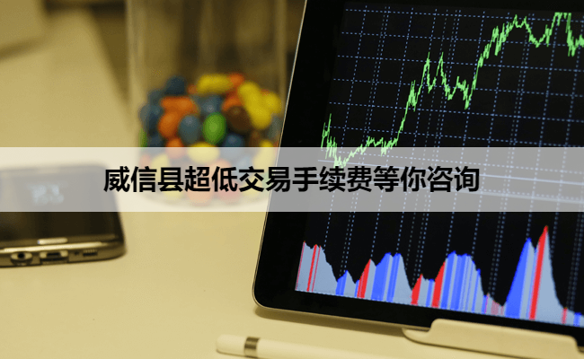 威信县超低交易手续费等你咨询