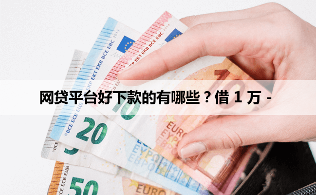 网贷平台好下款的有哪些？借 1 万 -
