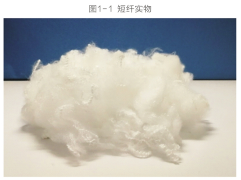 短纤产业概述介绍