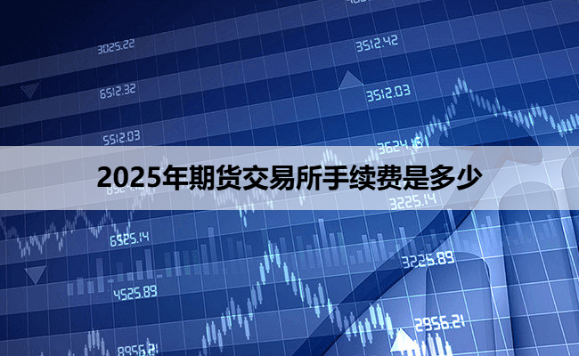 2025年期货交易所手续费是多少