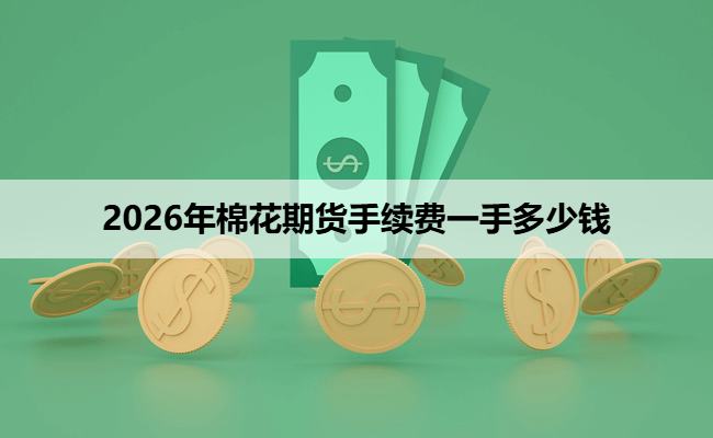 2026年棉花期货手续费一手多少钱