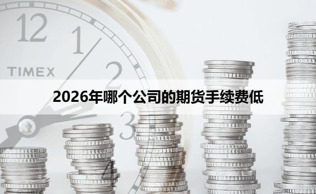 2026年哪个公司的期货手续费低（新手必看）