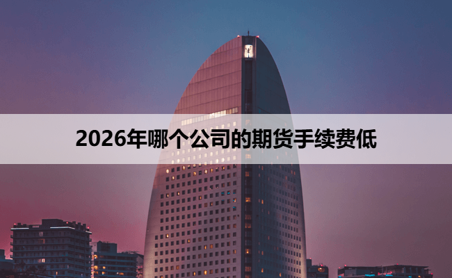 2026年哪个公司的期货手续费低