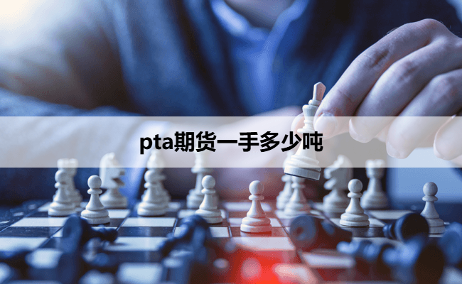 pta期货一手多少吨