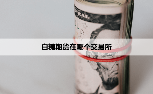 白糖期货在哪个交易所