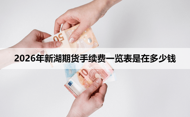2026年新湖期货手续费一览表是在多少钱