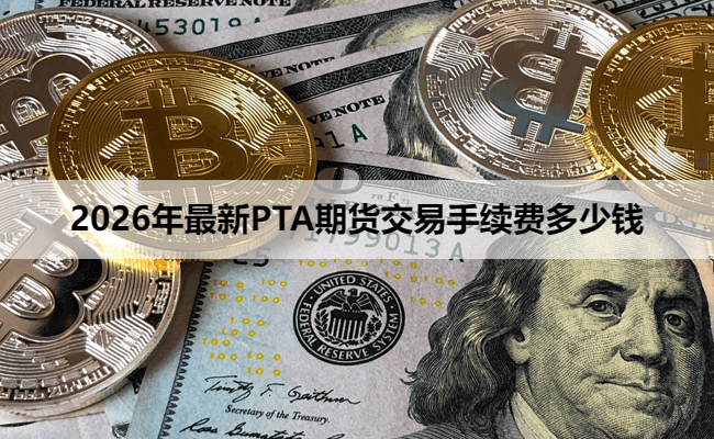2026年最新PTA期货交易手续费多少钱