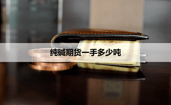 纯碱期货一手多少吨