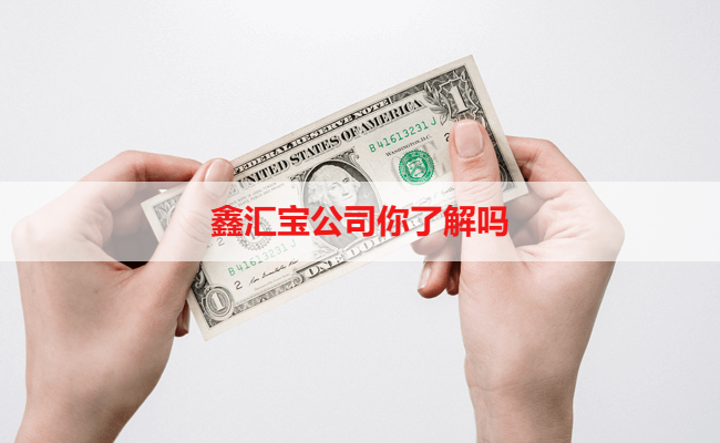 鑫汇宝公司你了解吗