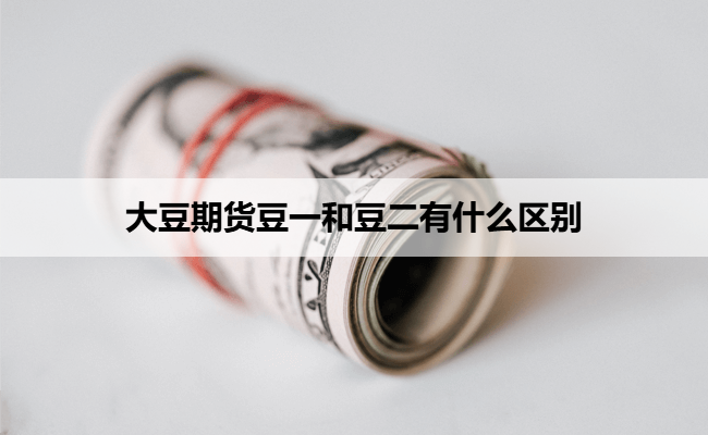 大豆期货豆一和豆二有什么区别