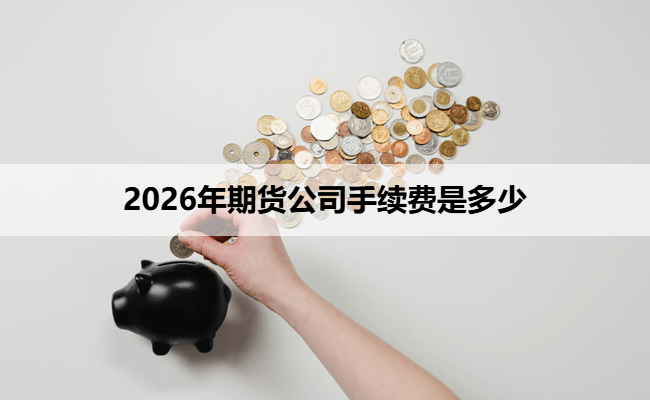 2026年期货公司手续费是多少