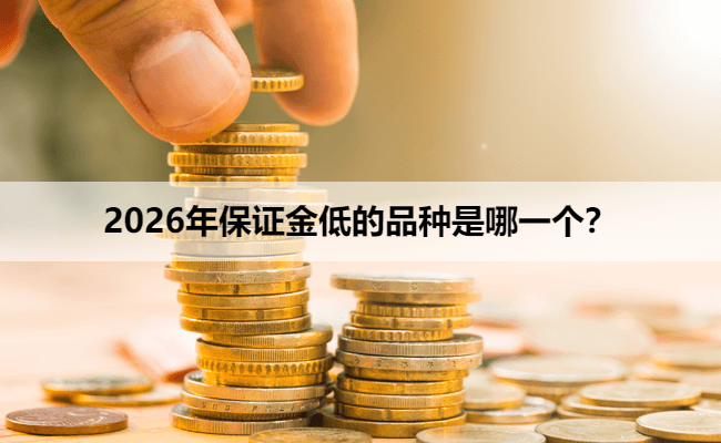 2026年保证金低的品种是哪一个？