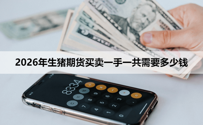 2026年生猪期货买卖一手一共需要多少钱