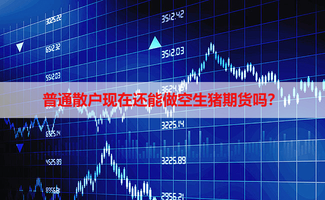 普通散户现在还能做空生猪期货吗？