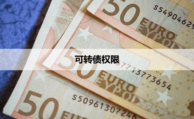 可转债权限