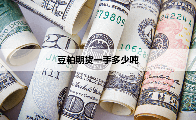 豆粕期货一手多少吨