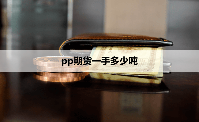 pp期货一手多少吨