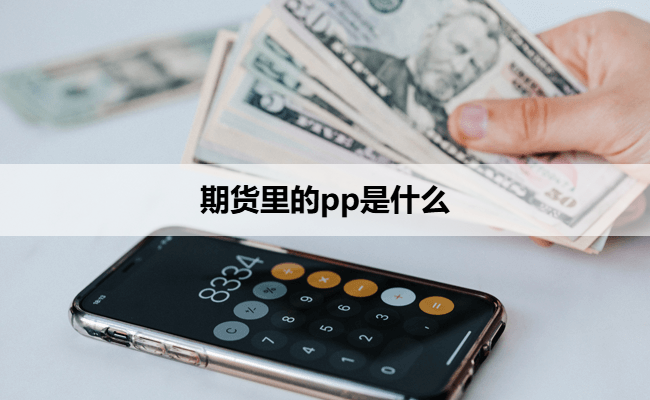 期货里的pp是什么