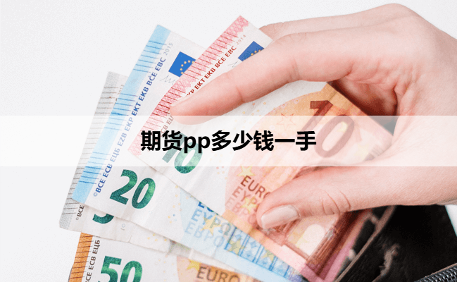 期货pp多少钱一手
