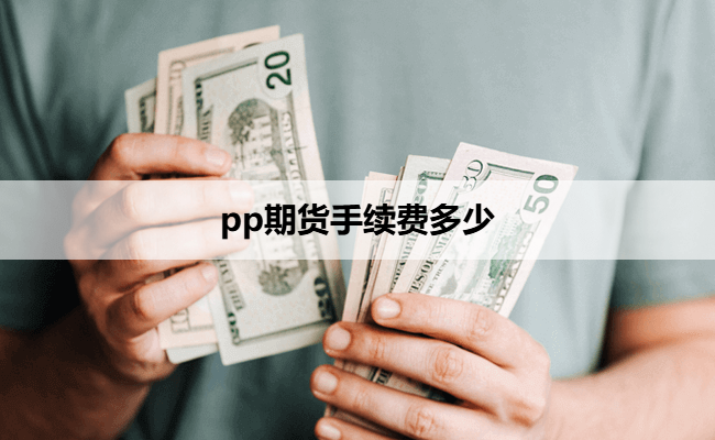 pp期货手续费多少