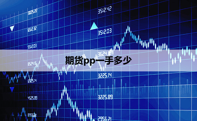 期货pp一手多少