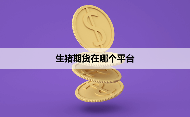 生猪期货在哪个平台