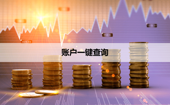 账户一键查询