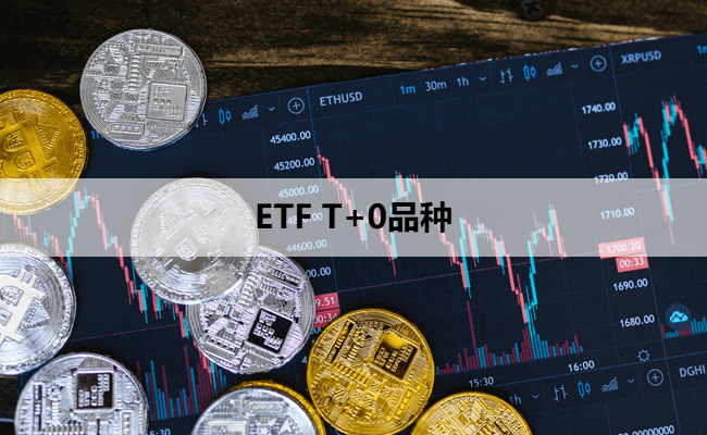 ETF T+0品种