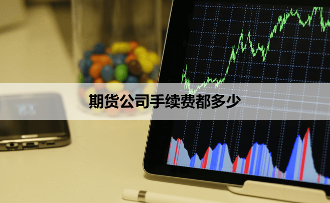 期货公司手续费都多少