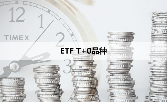 ETF T+0品种
