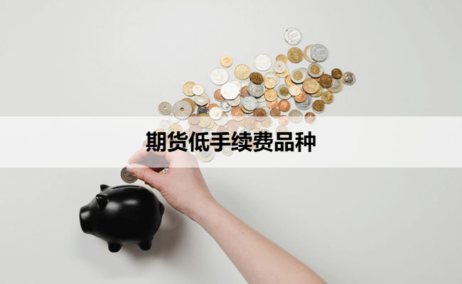 期货低手续费品种