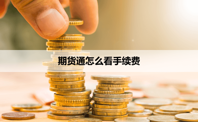 期货通怎么看手续费
