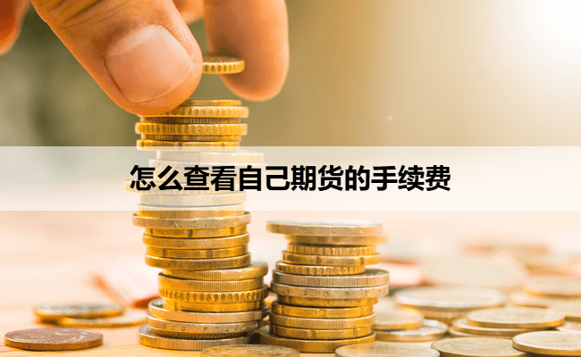 怎么查看自己期货的手续费
