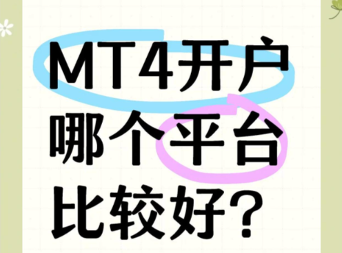 新手怎么找mt4开户平台呀？