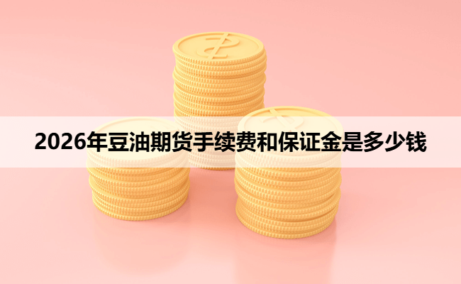 2026年豆油期货手续费和保证金是多少钱