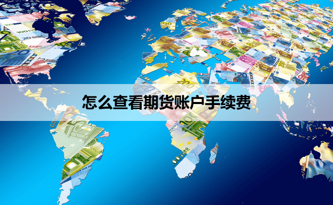 怎么查看期货账户手续费