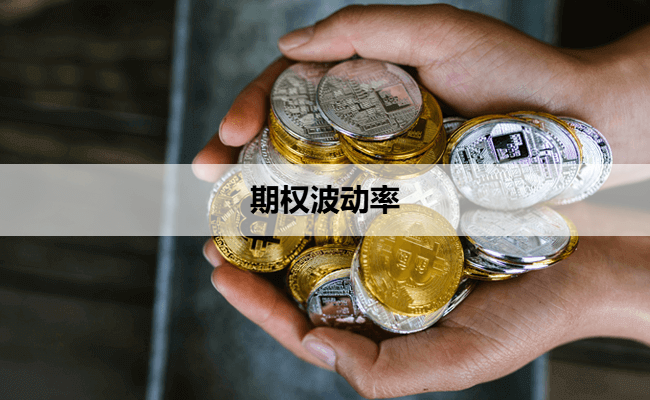 期权波动率