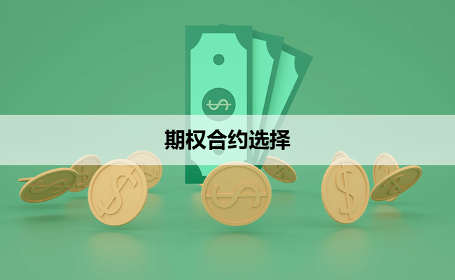 期权合约选择