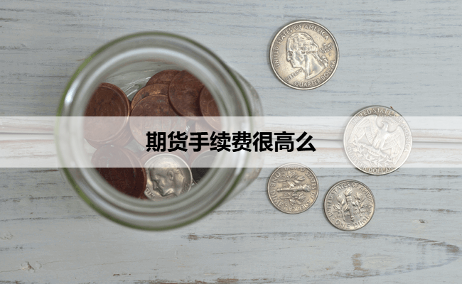 期货手续费很高么
