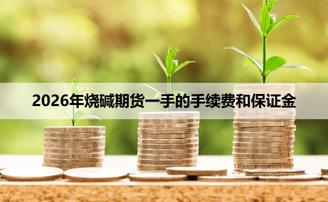 2026年烧碱期货一手的手续费和保证金