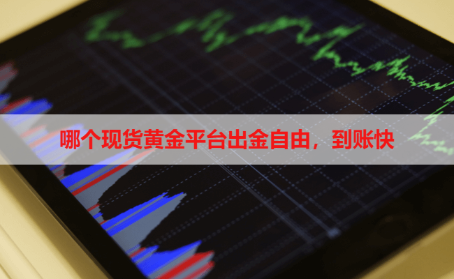 哪个现货黄金平台出金自由，到账快