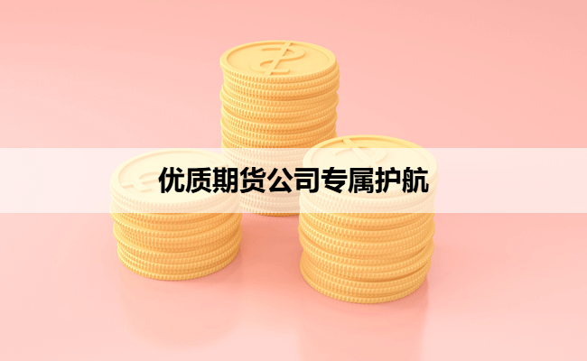 优质期货公司专属护航