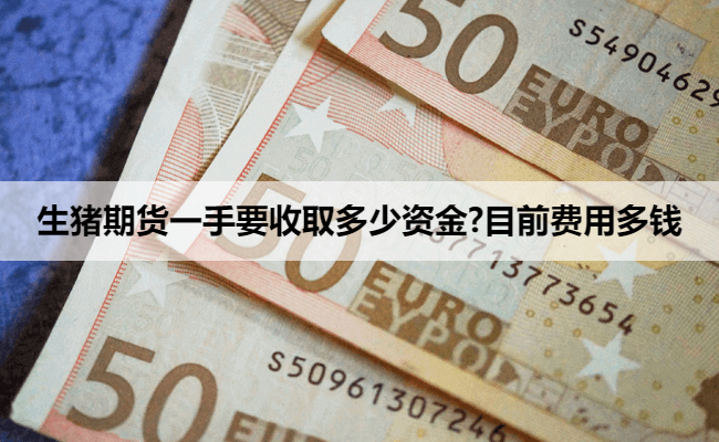 生猪期货一手要收取多少资金?目前费用多钱